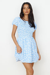 Like A Bluebird Dress